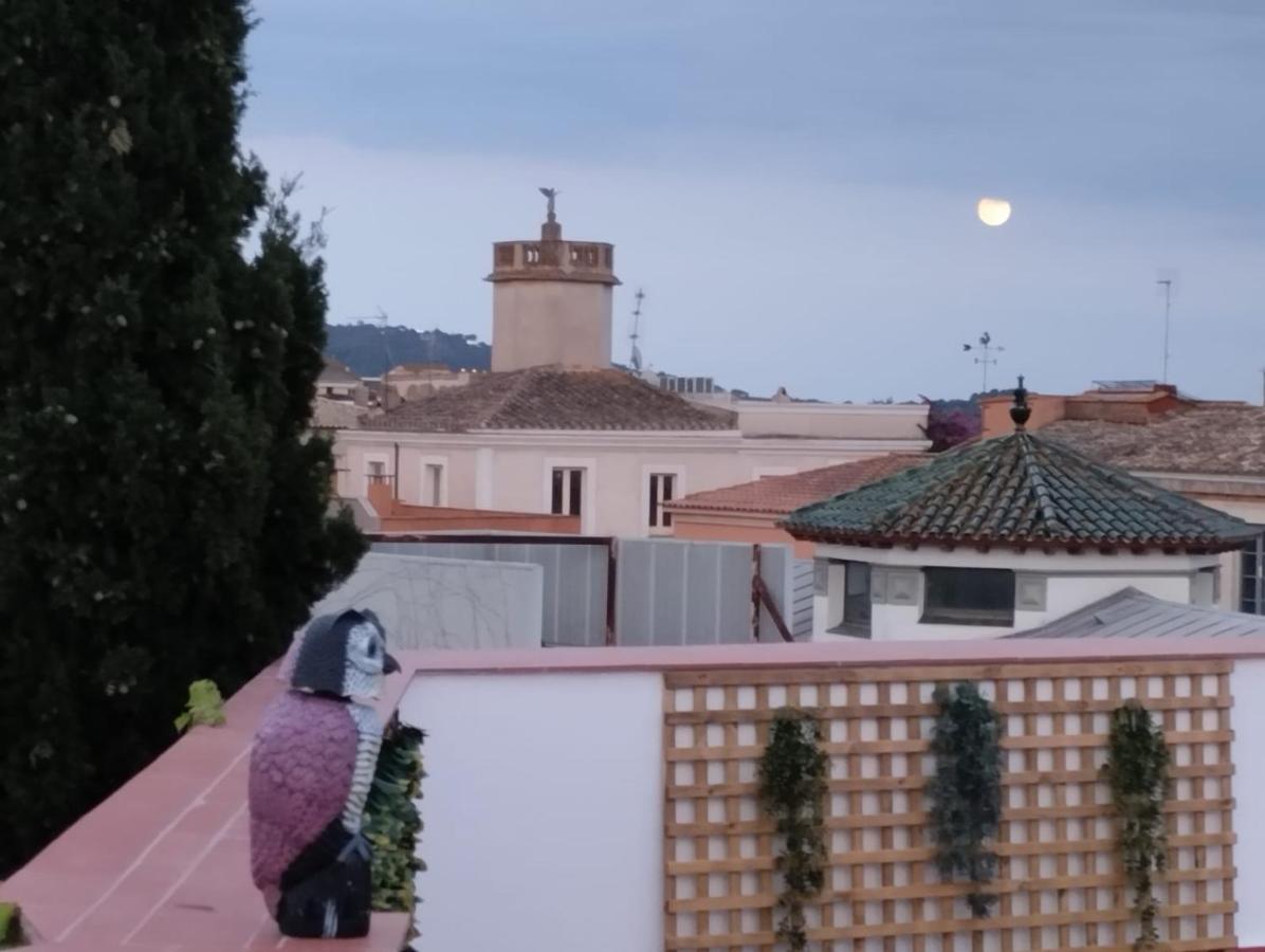 פאלאפרוג'ל Apartaments L'Arc מראה חיצוני תמונה